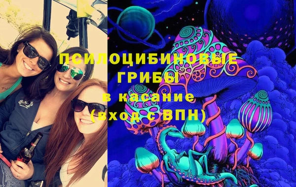 бутират Инсар