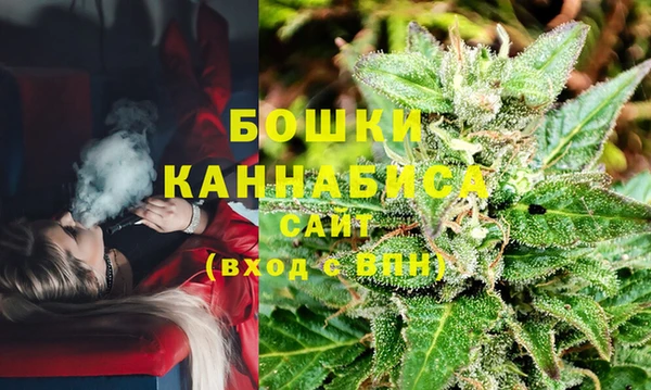 бутират Инсар