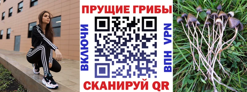 Псилоцибиновые грибы прущие грибы  Купить где  Искитим 